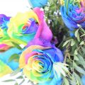 Ramo  de rosas Rainbow
